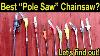 Best Pole Saw Chainsaw Ego Vs Milwaukee Oregon Dewalt Ryobi Worx Craftsman Sun Joe
