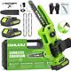 Cqwlkej Mini Chainsaw Cordless 8inch Electric Chainsaw Pruning Chain Saw With 2