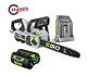 Ego Cs1614e 16 Cordless Chainsaw With 5ah Battery And Fast Charger