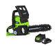 Greenworks 24v 25cm Chainsaw C/w 2ah Battery & Charger