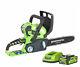 Greenworks 40v 30cm (12) Chainsaw Complete With 2ah Battery And Charger