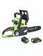 Greenworks Cordless 24v Chainsaw 25cm/10in With Battery And Charger