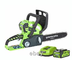 Greenworks G40CS30K2 Cordless 40v Chainsaw 30cm/12in with Battery