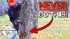 How To Chainsaw Like A Boss This Could Save Your Life
