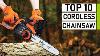 Top 10 Best Electric Cordless Chainsaws