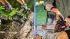 Top 5 Best Electric Cordless Chainsaws